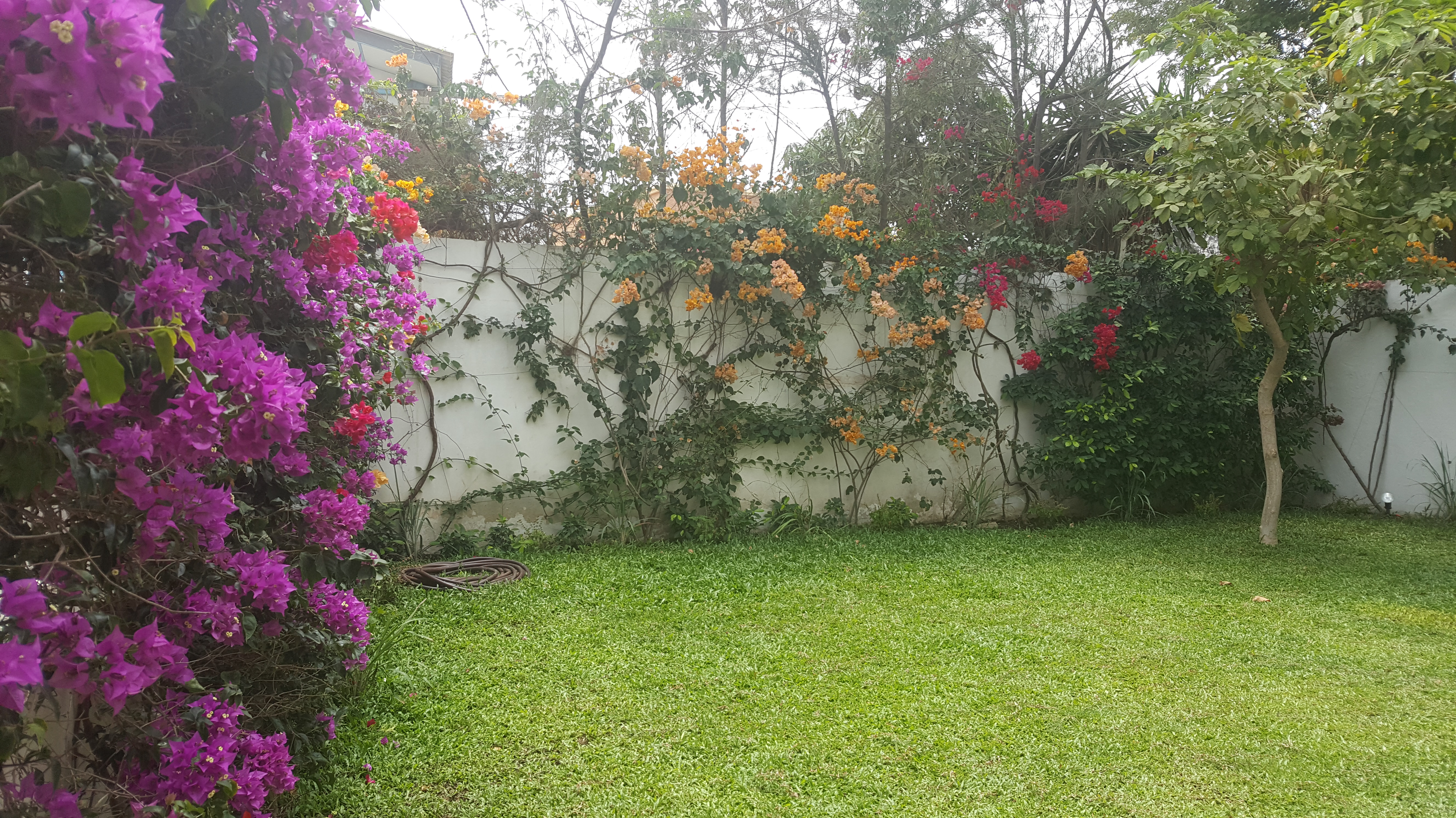 Jardin hbs Dakar Senegal