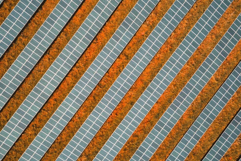 champ de panneaux photovoltaïque 