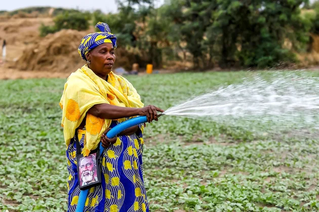 Agricultrice sénégalaise