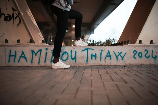 Banner Hamidou Thiavy