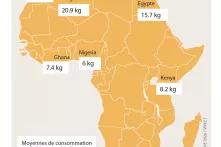 Afrique : des efforts d'interdiction, une harmonisation urgente