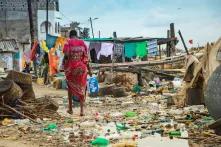 Environnement et Ecologie par Khalifa Ndiaye