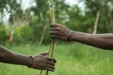 Environnement et Ecologie par Khalifa Ndiaye