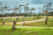 Environnement et Ecologie par Khalifa Ndiaye