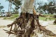 Environnement et Ecologie par Khalifa Ndiaye