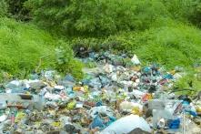 Environnement et Ecologie par Khalifa Ndiaye