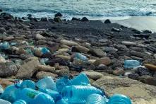 Environnement et Ecologie par Khalifa Ndiaye