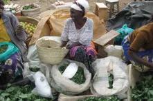 enyan saleswoman selling African Leafy Vegetables in a local market in Tunyai village in Kenya.