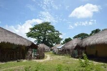 photos-article-mane-et-diombaty