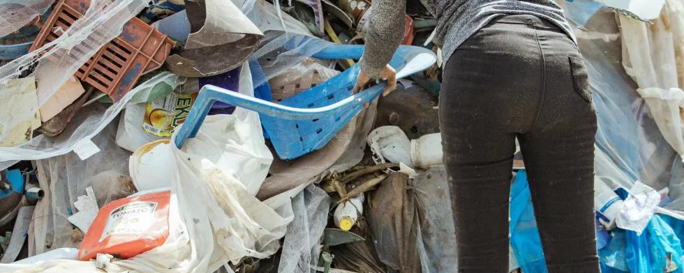 Environnement et Ecologie par Khalifa Ndiaye