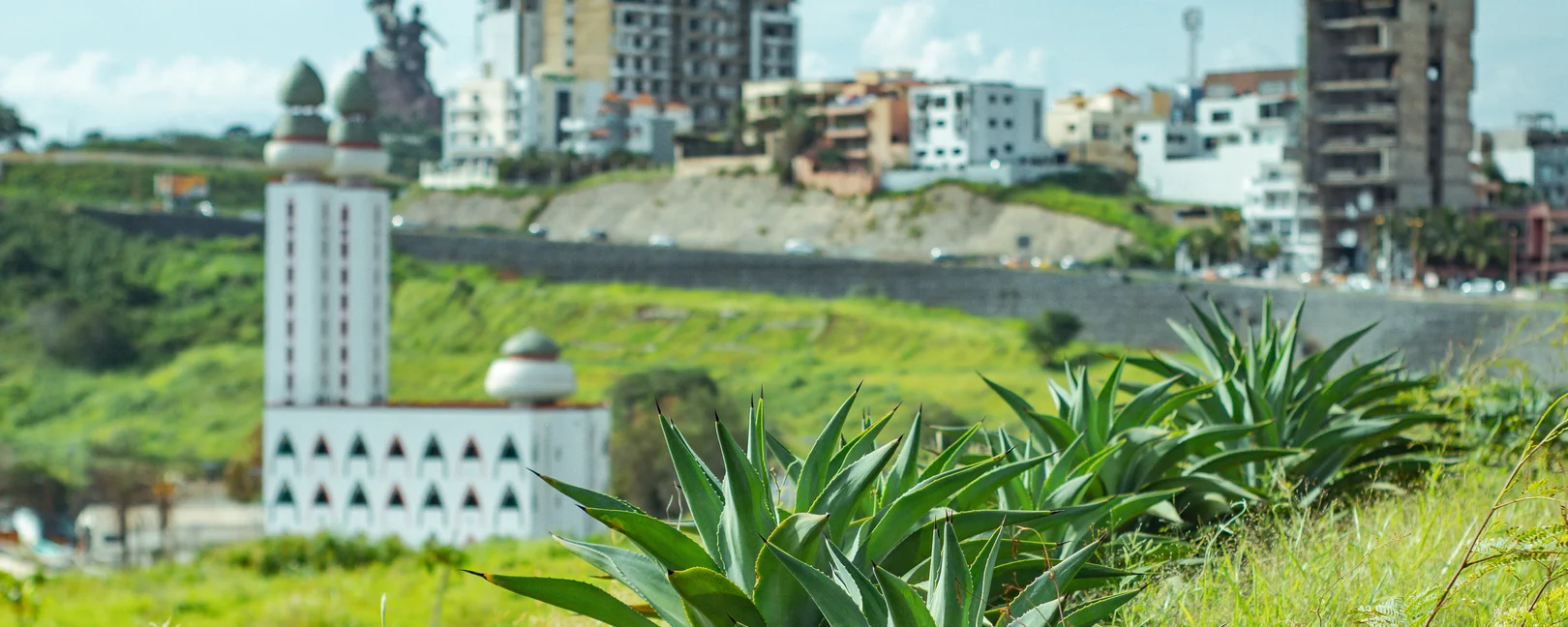 Une rangée d'agaves vertes au premier plan, avec une mosquée blanche et des bâtiments urbains en arrière-plan sous un ciel clair.