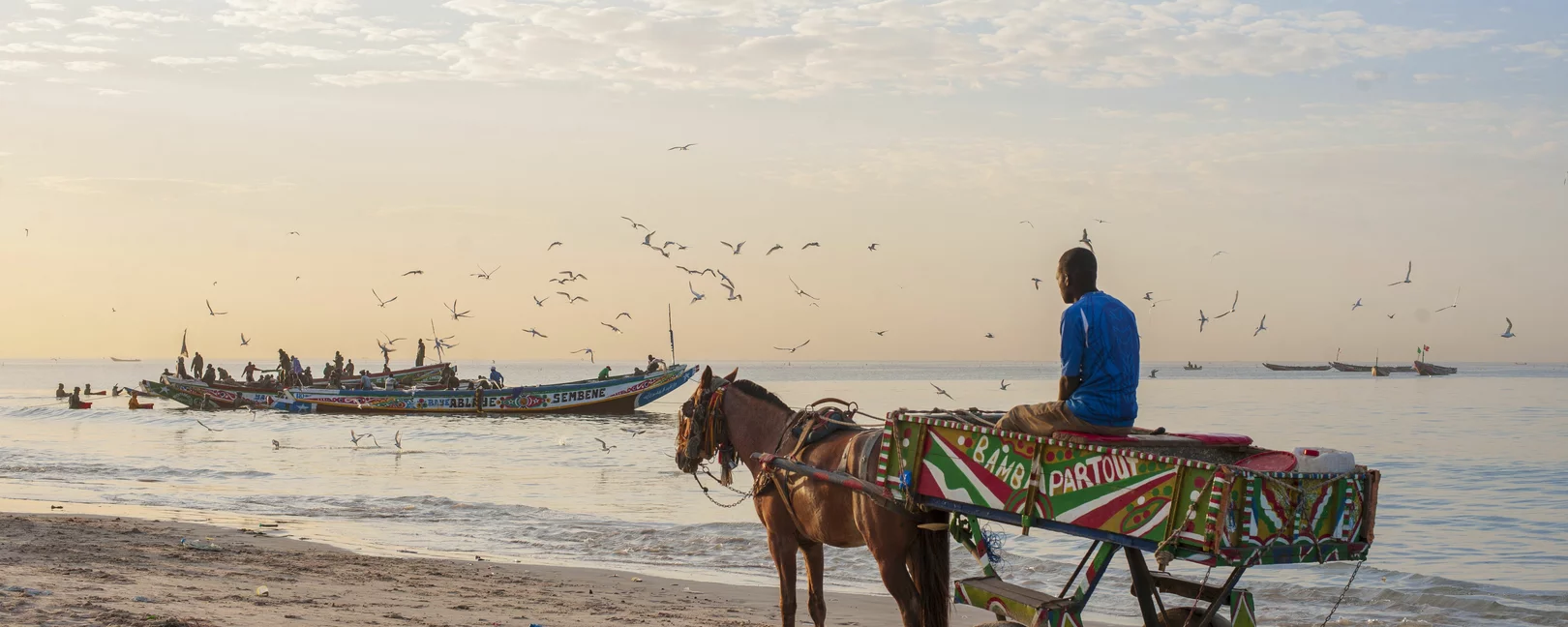 homme en calèche regardant un pirogue de pêche à l'horizon