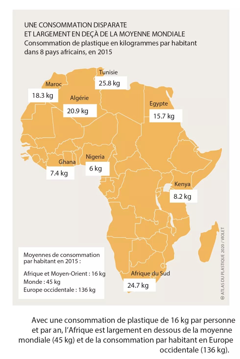 Afrique : des efforts d'interdiction, une harmonisation urgente