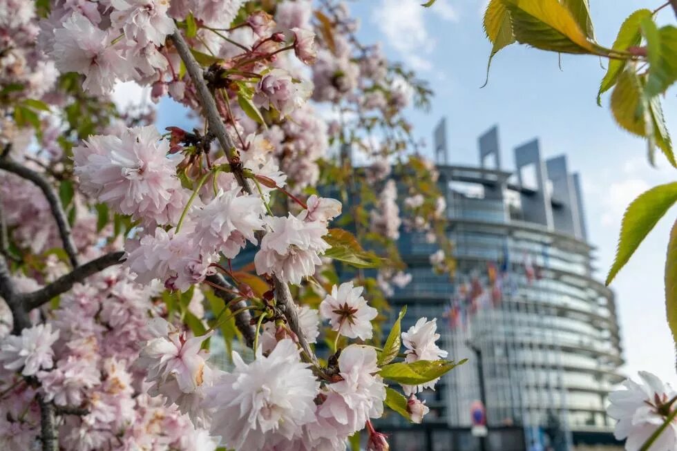 Parlement européen à Strasbourg - le siège des décisions politiques de l'UE