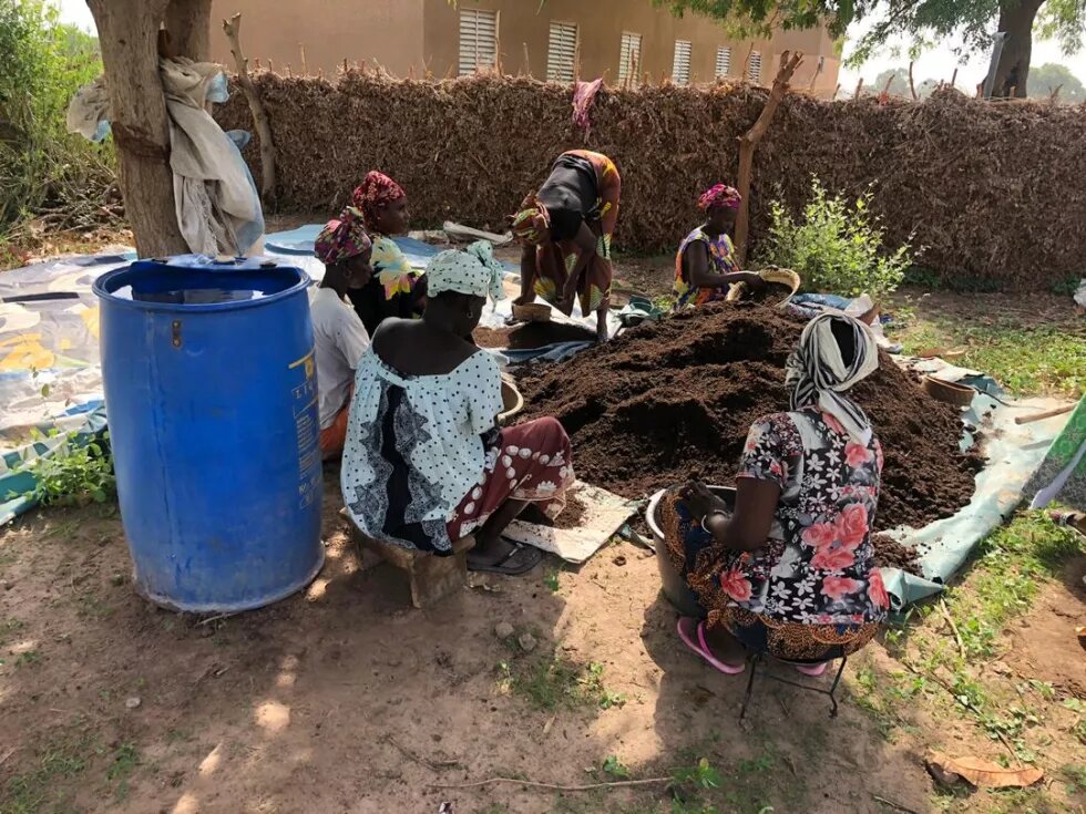 Transformation d'aliments par des femmes en milieu rural au Sénégal