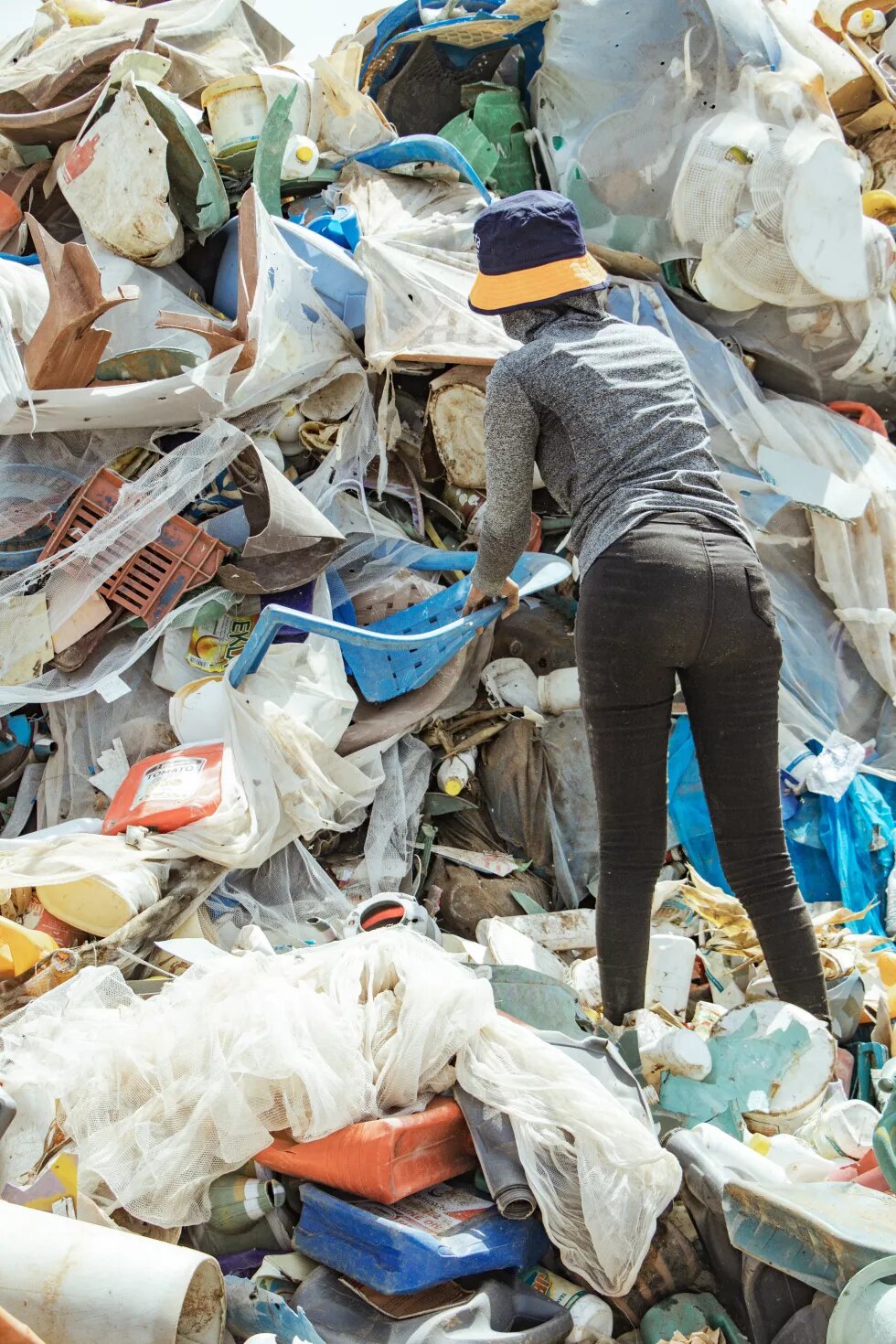 Environnement et Ecologie par Khalifa Ndiaye