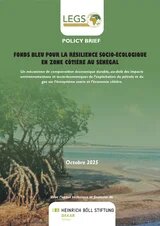 Couverture policy brief Fonds bleu